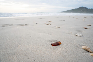 Trash on the beach | Polluted beach | Ocean and Beach Pollution | Beach cleanup | Ocean cleanup