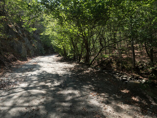 Forestry road at Almajului Mountains, Romania. Almajului Mountains are a range of mountains from the Banat region