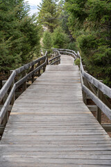 Fototapeta premium Wooden bridge with a path leading up to it