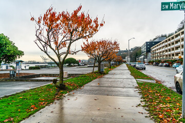 Late Fall Alki Sidewalk