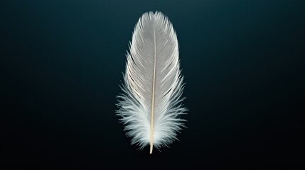 Obraz premium Close-up of a single light gray feather on a dark textured background, highlighting its delicate structure and fine details.