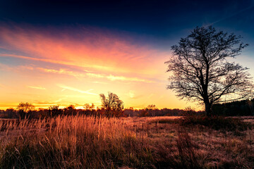 Autumn sunny morning with fog in the forest.