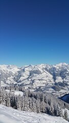 Vertical view of snowy mountain range with trees in the foreground.