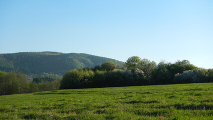 Fototapeta premium Mountain with trees with fresh green leaves in forests and green field with grass - spring panorama with blue sky. Topics: natural environment, season, nature, air space, weather, atmosphere