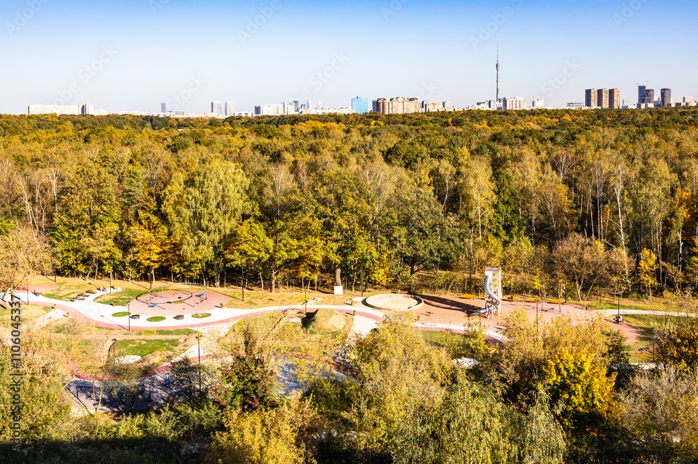 Canvas Prints above view of playground in forest of city park