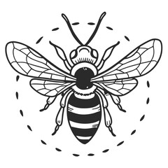 Bee vector silhouette
