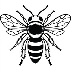 Bee vector silhouette