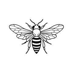 Bee vector silhouette