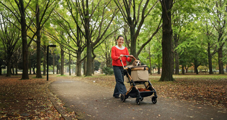 Park, woman and happy with dog on stroller for exercise, health or bonding in Japan. Outdoor, walking and female person as pet owner with animal for friendship, love and care with smile for adoption