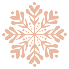 Snowflake icon
