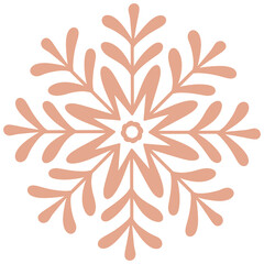 Obraz premium Snowflake icon
