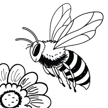 bee flying near flower black and white clip art preview