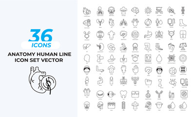 Anatomy Human line Icon Set Collection Layout Vector Template. Vector illustration in line style of icons
