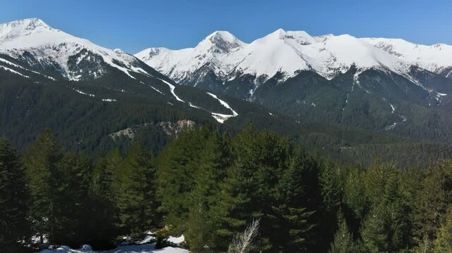 Drone flies over Aramiska Meadow in Pirin and pans up overviewing famous peaks: Todorka, Vihren and Kutelo in good sunny Spring weather.