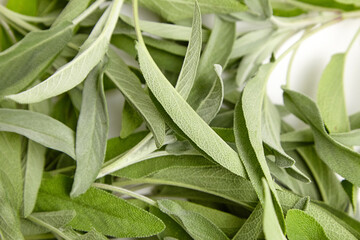 Fototapeta premium Macro image of fresh sage leaves showcasing intricate texture and vibrant green hues, perfect for culinary, herbal, or wellness-related visuals