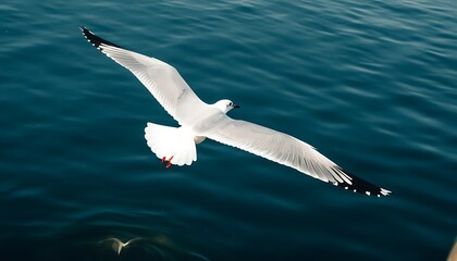 Alluring ocean view with soaring seagulls against the sky.