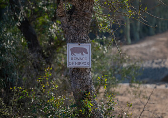 Warnschild Beware of Hippos, Vorsicht vor Flusspferde genannt Nilpferd - Hippo, im Krüger National...