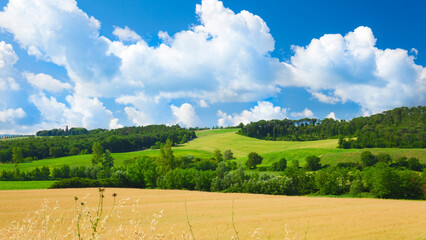 High-resolution images from various categories