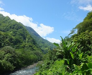 vall&eacute;e de Papenoo