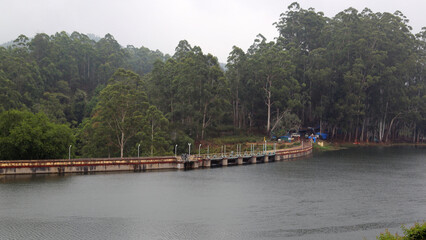 High-resolution images from various categories