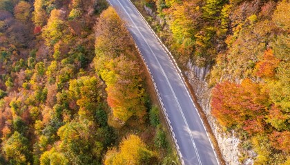 Fototapeta premium Colorful image of bright autumn forest road