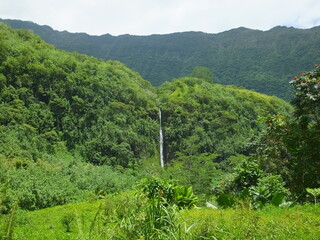 cascade tournage Tahiti douche