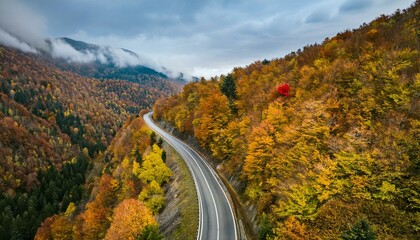Fototapeta premium Colorful image of bright autumn forest road