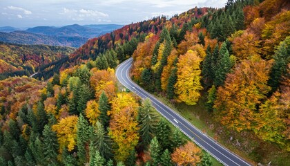 Fototapeta premium Colorful image of bright autumn forest road