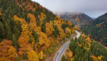 Colorful image of bright autumn forest road
