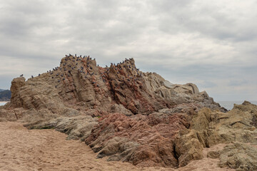 A large, steep rock with some birds perched on it. The birds are scattered around the cliff. A cloudy day. Lloret de Mar, Catalonia, Spain