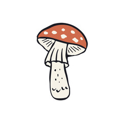 Hand drawn inky sketch style amanita mushroom. Poisonous fungy doodle