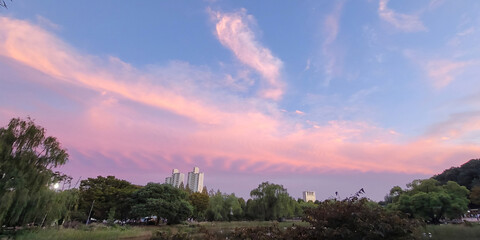 Beautiful landscape with a stunning Sunset, in Boramae Park, in Seoul, Korea