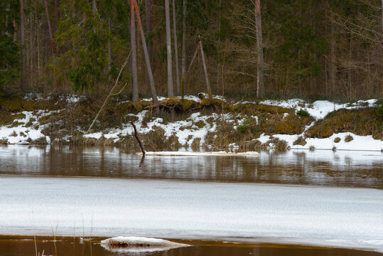  A serene winter river scene with partially frozen water, snowy riverbanks, and a dense forest in the background. No people or logos visible.