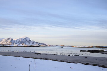 Uccelli sulla spiaggia di Andenes all'alba in inverno, a nord dell'isola di Andoya. Norvegia del Nord.