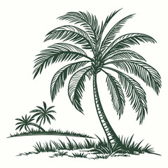 palm tree silhouette