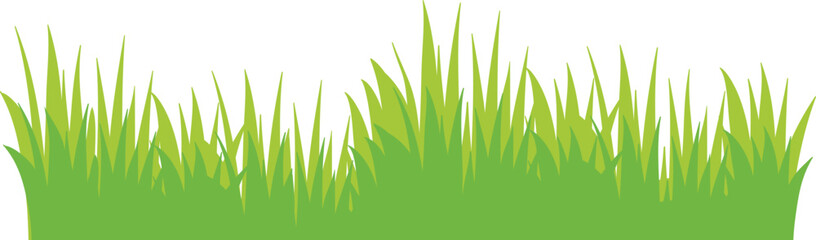 Green Grass Borders Set Isolated on White Background, Vector Illustration, flat style. green leaf. Grass illustration isolated on white background