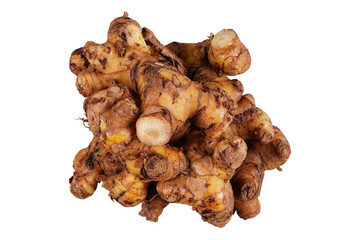 Close up of galangal root isolated transparent