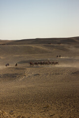 Obraz premium Camel caravan in front of The Great pyramid and The Sphinx in Giza pyramid complex - Cairo, Egypt