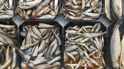 Herring salted fish in a dish in a food market