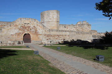 Fototapeta premium ruined castle in zamora in spain