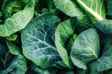 Obraz premium Southern Style Collard Greens. Fresh Organic Leafy Green Cabbage Dish