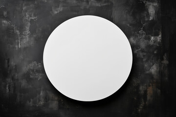 The white circle on dark background.