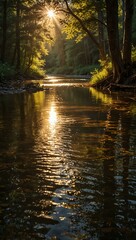 Golden sunlight on a tranquil river in a forest.
