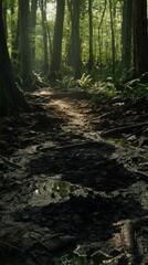 Obraz premium A serene forest path illuminated by sunlight, showcasing rich greenery and earthy textures.