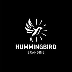 Hummingbird Logo Branding Vector design