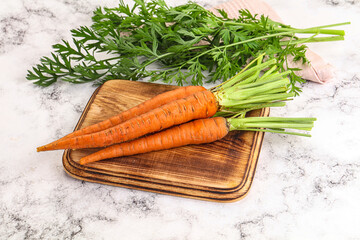 Toung fresh ripe orange carrot