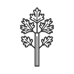 Line Drawing Of A Single Celery Stalk With Leaves