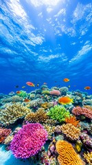 Naklejka premium An enchanting underwater vista featuring a thriving coral reef, diverse marine creatures, and pristine waters, emphasizing the significance of coral preservation and marine biodiversity.
