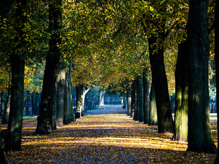 park