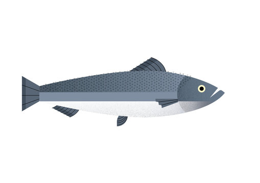 Salmon fish, lively and vibrant colors, flat design illustration